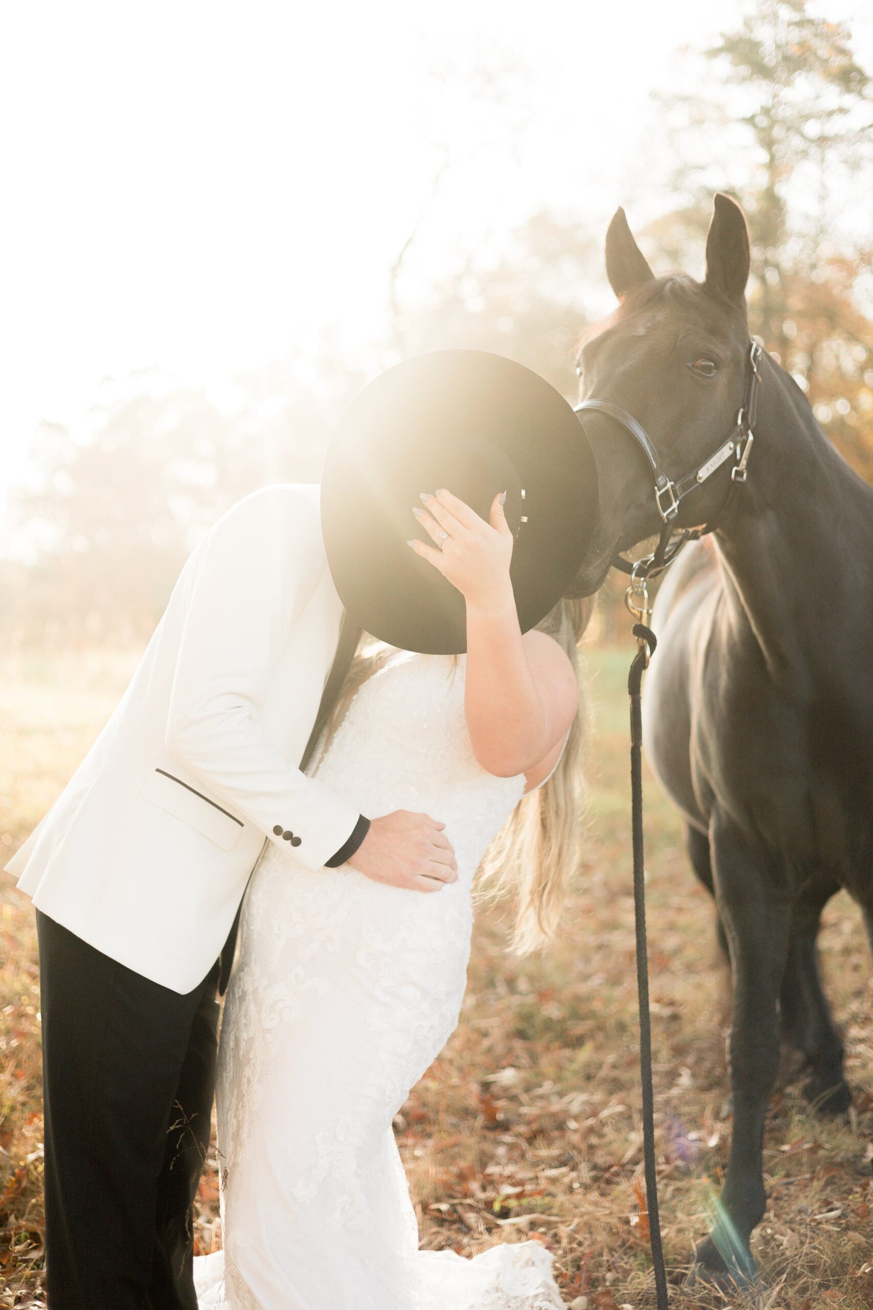 Eloping with Horses