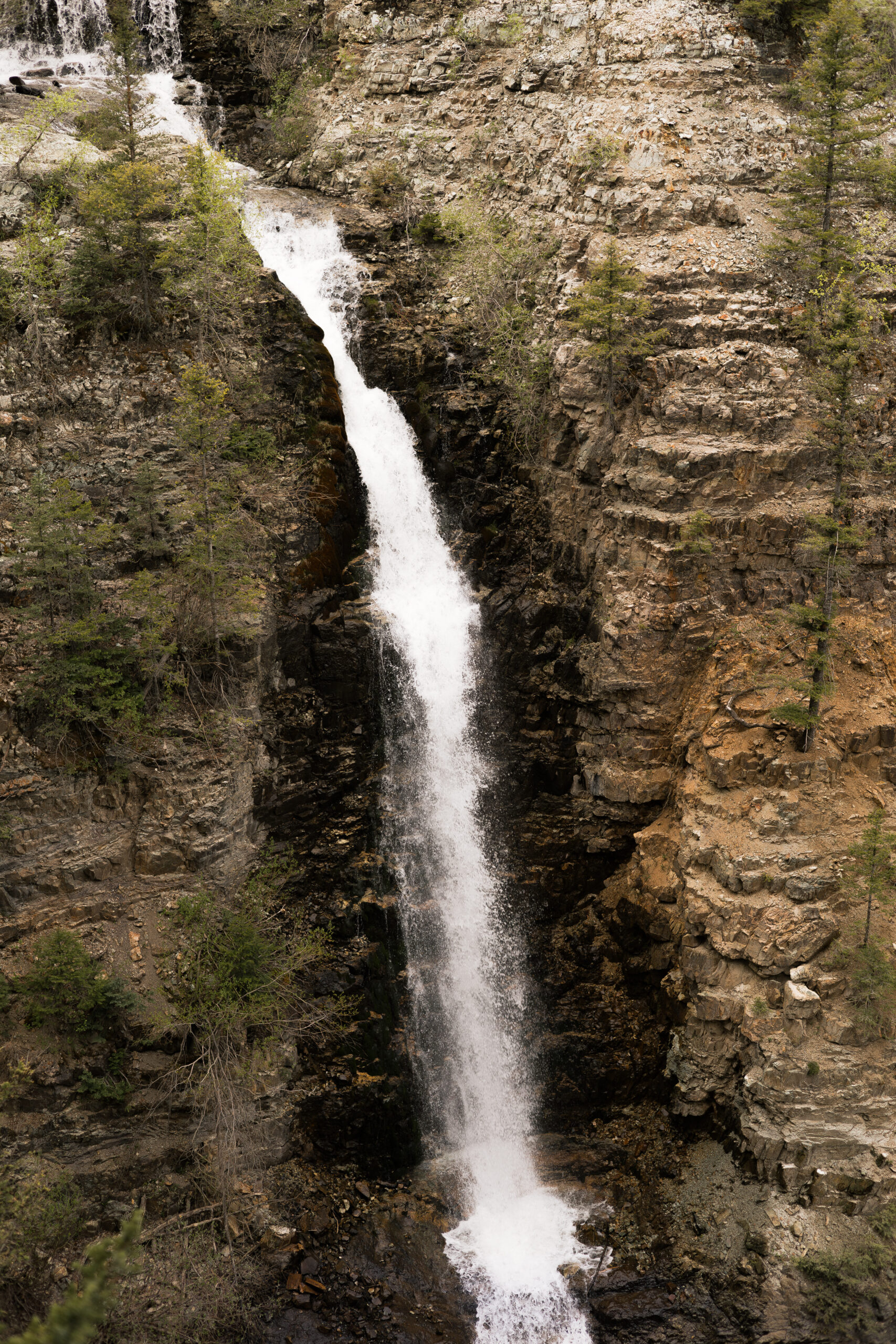 mystic falls elopement