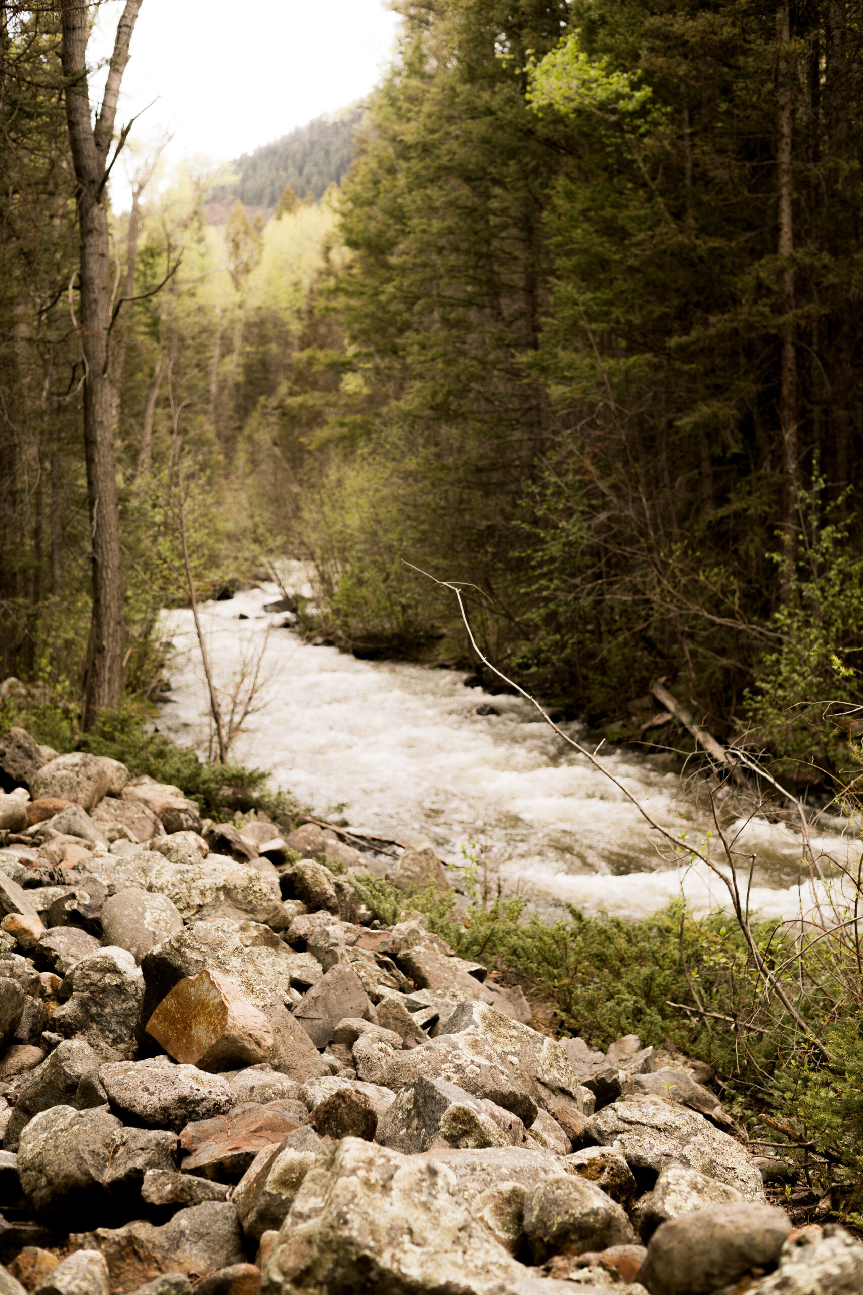 Elopement at Mystic Falls in Telluride
