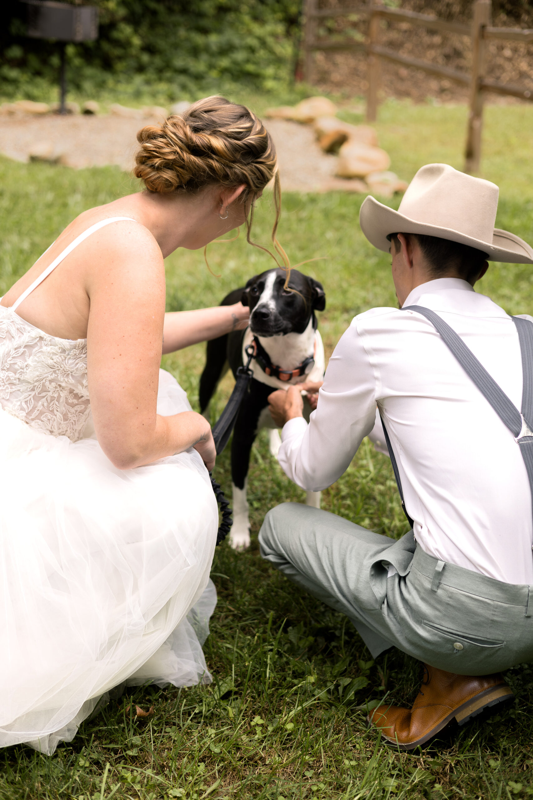 Eloping with Pets
